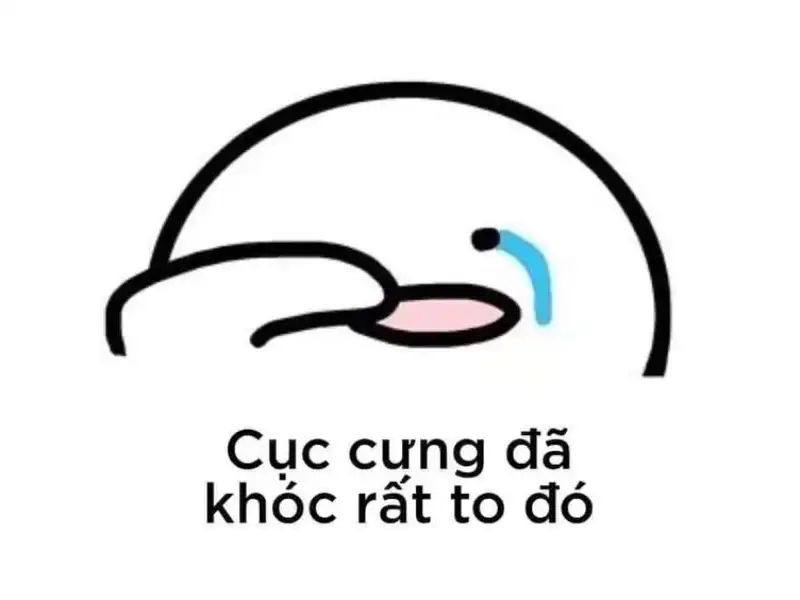 Meme hiện nay được sử dụng khá là rộng rãi trên các nền tảng mạng xã hội